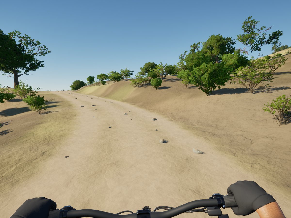 Mt Tam: Old Railroad Grade: in-game capture